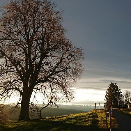 Appartamento Kuhnest Scheidegg Esterno foto