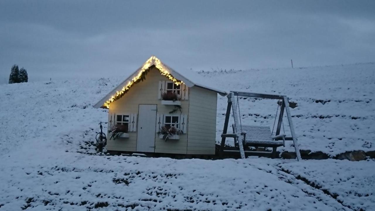 Appartamento Kuhnest Scheidegg Esterno foto